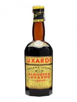 Albicocca Liqueur / Luxardo / Bot.1950s