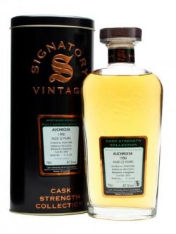 Auchroisk 1990 / 22 Year Old / Cask #3658 Speyside Whisky