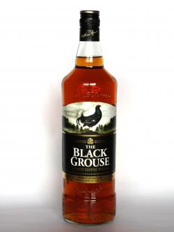 Black Grouse Front side