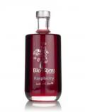 A bottle of Blossoms Raspberry Syrup