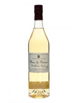 Briottet Fleur de Sureau (Elderflower) Liqueur