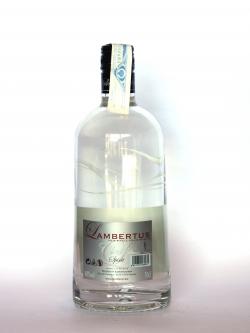 Lambertus Classic Back side