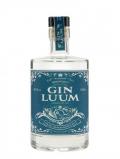 A bottle of Luum London Dry Gin / Half Litre