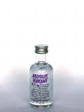 A bottle of Absolut Kurant