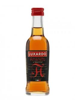 Amaretto di Saschira Liqueur / Luxardo