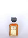 A bottle of Amaretto Liqueur / Di Saronno Miniature