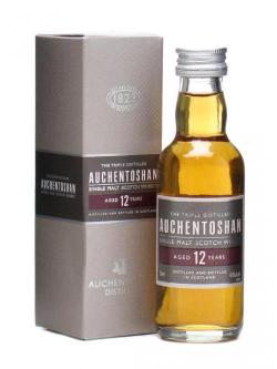 Auchentoshan 12 Year Old Lowland Single Malt Scotch Whisky