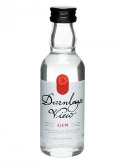 Darnley's View Gin Miniature