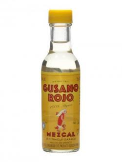 Gusano Rojo Mezcal Miniature