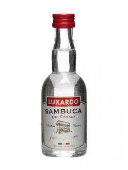 Luxardo Sambuca Miniature
