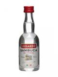 A bottle of Luxardo Sambuca Miniature