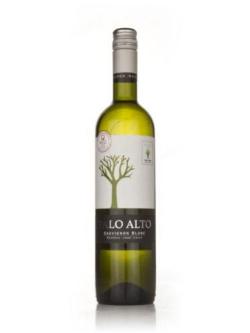 Palo Alto Sauvignon Blanc Reserva 2008