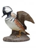 A bottle of Ski Country Male Merganser / Empty Decanter