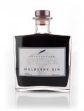 A bottle of Stratford Mulberry Gin Liqueur