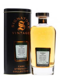 Glenisla 1977 / 37 Year Old / Cask #19602 / Signatory Speyside Whisky